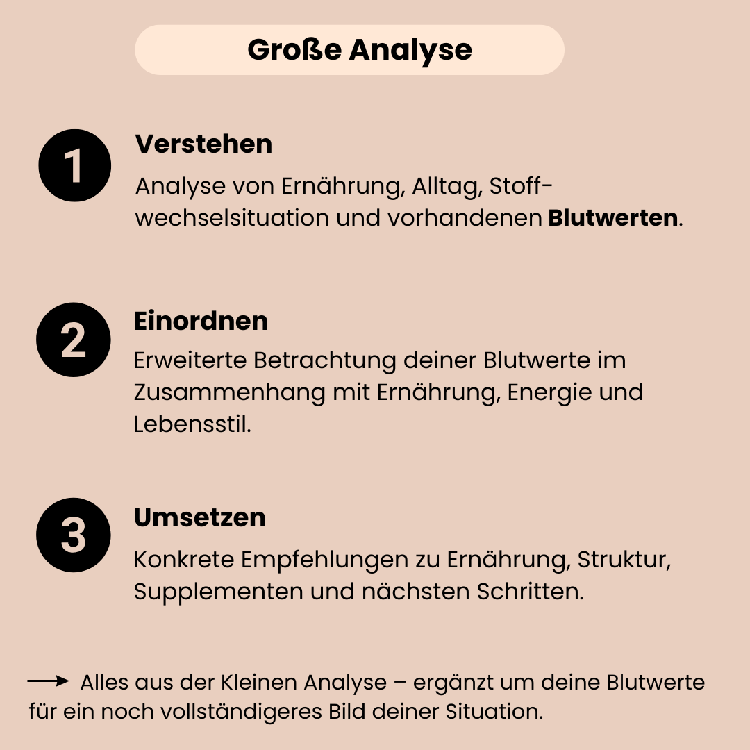 Die große Ernährungs und Blutwertanalyse beinhaltet Verstehen, Einordnen und Umsetzen mit konkreten Empfehlungen.