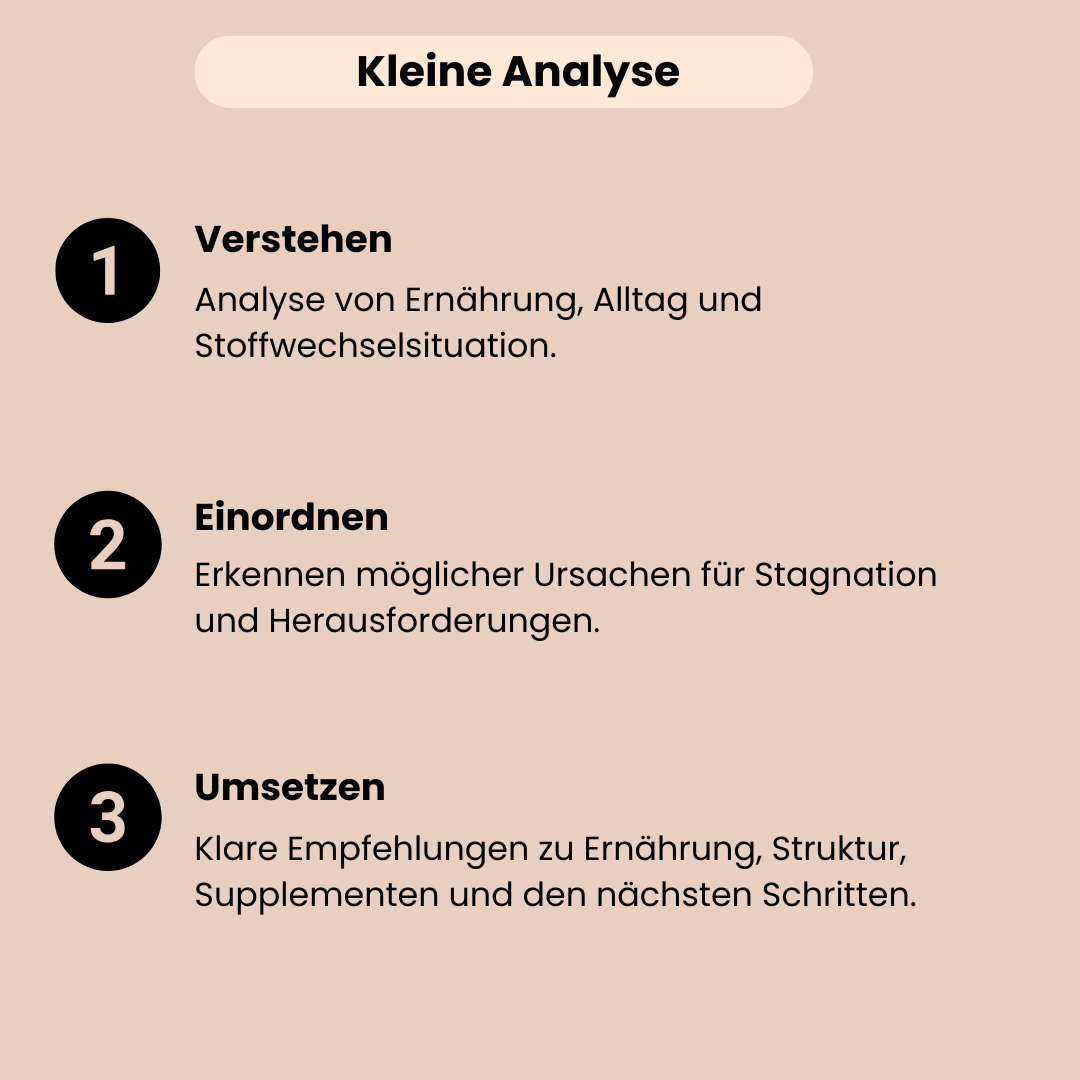 Die kleine Ernährungs und Blutwertanalyse beinhaltet Verstehen, Einordnen und Umsetzen mit konkreten Empfehlungen.