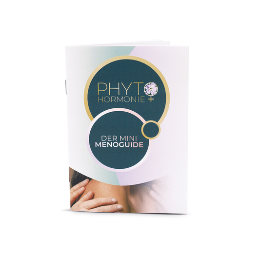 Das Cover des Mini Menoguides aus der Zusammenarbeit von Heidi Gregor und Nina Milenkovics.