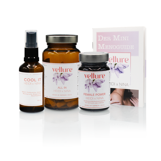 Die Produkte des Late-Menopower Paketes zur Unterstützung in den späten Wechseljahren. Ganz links das Cool it Spray, daneben die All In Kapseln, die Female Power Kapseln und ganz rechts das Heft des Mini Menoguide.