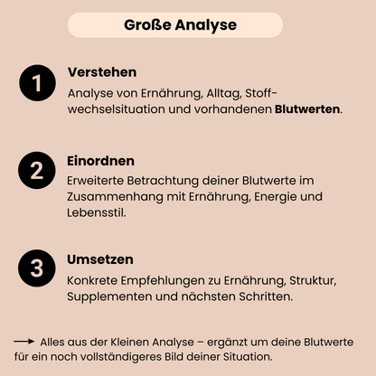 Die große Ernährungs und Blutwertanalyse beinhaltet Verstehen, Einordnen und Umsetzen mit konkreten Empfehlungen. 