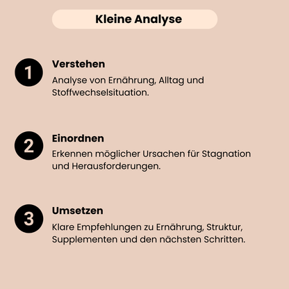 Die kleine Ernährungs und Blutwertanalyse beinhaltet Verstehen, Einordnen und Umsetzen mit konkreten Empfehlungen. 