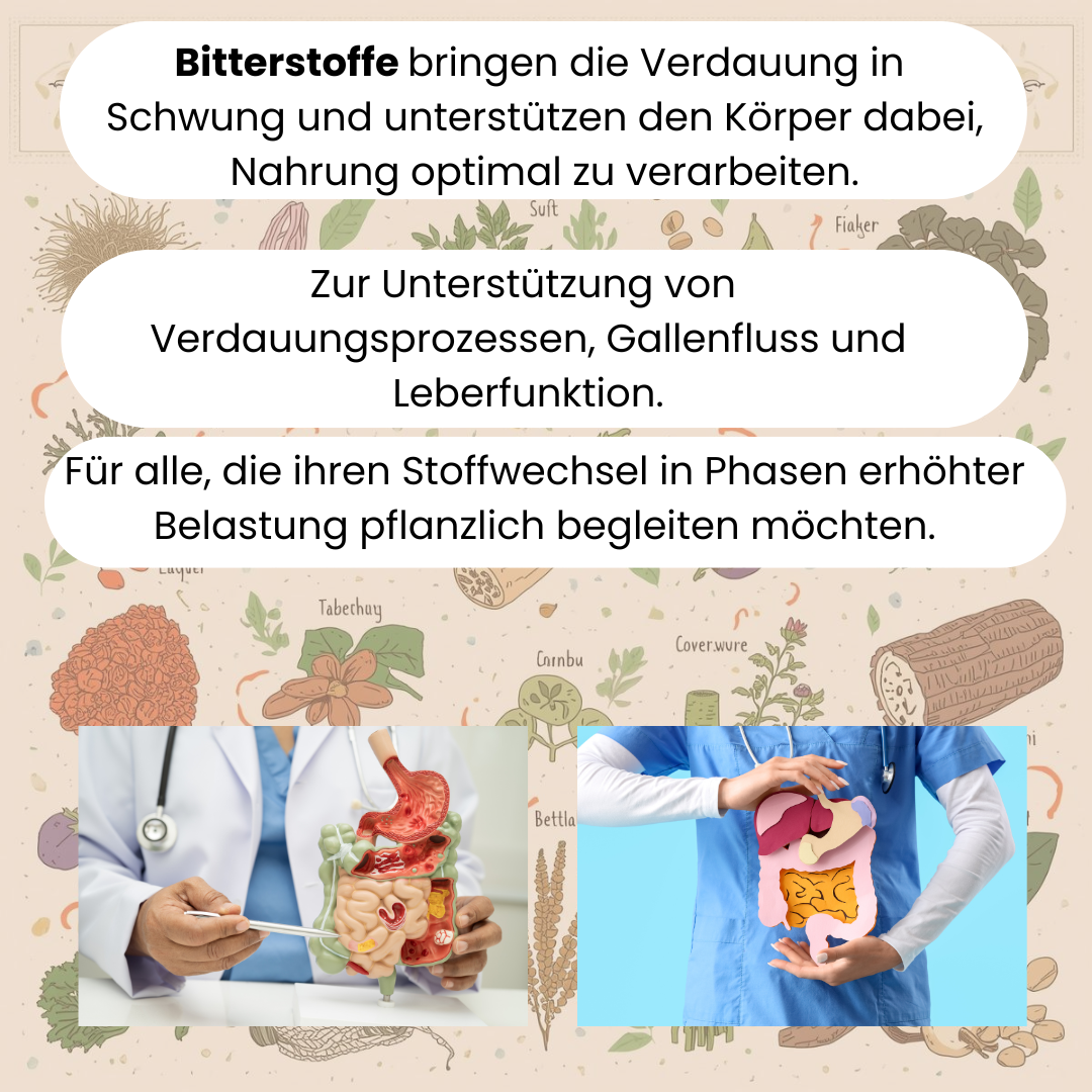 Bild über Bitterstoffe, die die Verdauung in Schwung bringen und Nahrung optimal verarbeiten. 