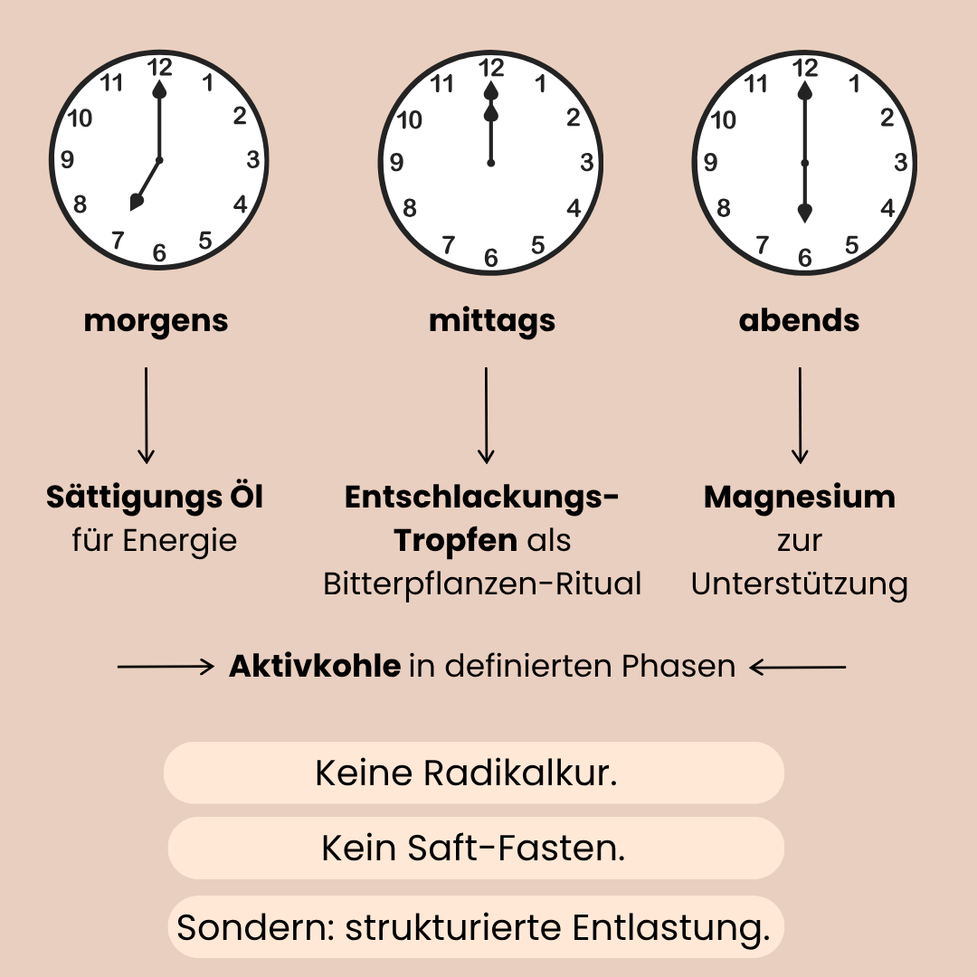 Auflistung der 3 Produkte des Detox Pakets wann man diese einnimmt.