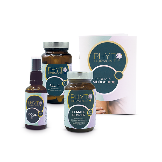 Die Produkte des Late-Menopower Paketes zur Unterstützung in den späten Wechseljahren. Ganz links das Cool it Spray, daneben die All In Kapseln, die Female Power Kapseln und ganz rechts das Heft des Mini Menoguide. 