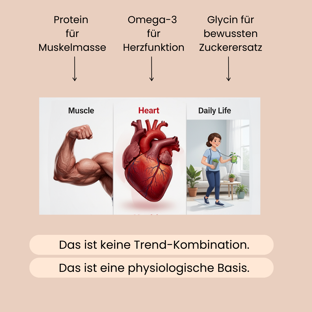Abbildung von Muskeln, Herz und dem täglichen Alltag für ein langes Leben. 