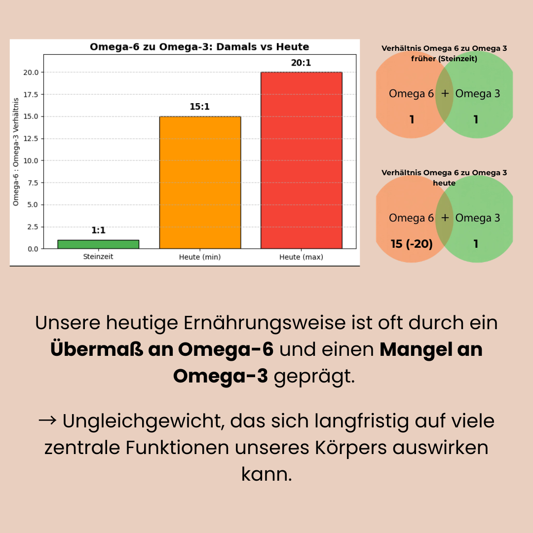Erklärung zu Übermaß an Omega 6 und Mangel an Omega 3 in unserer Ernährung. 