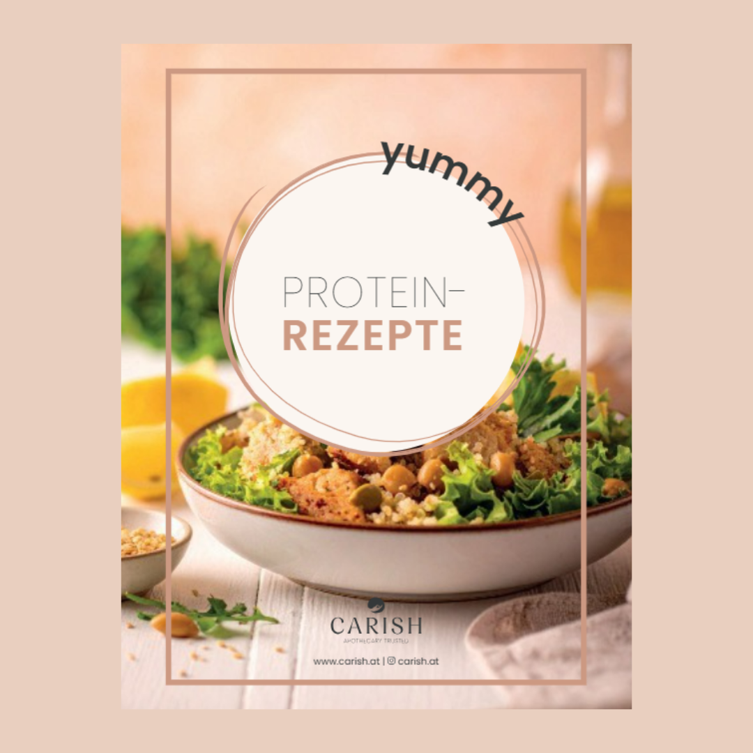 Das Cover des pdfs vom Protein-Rezepteheft. 