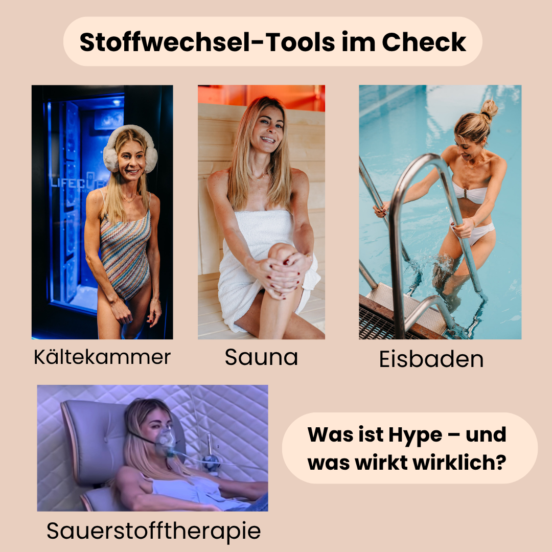 Stoffwechsel Gruppe
