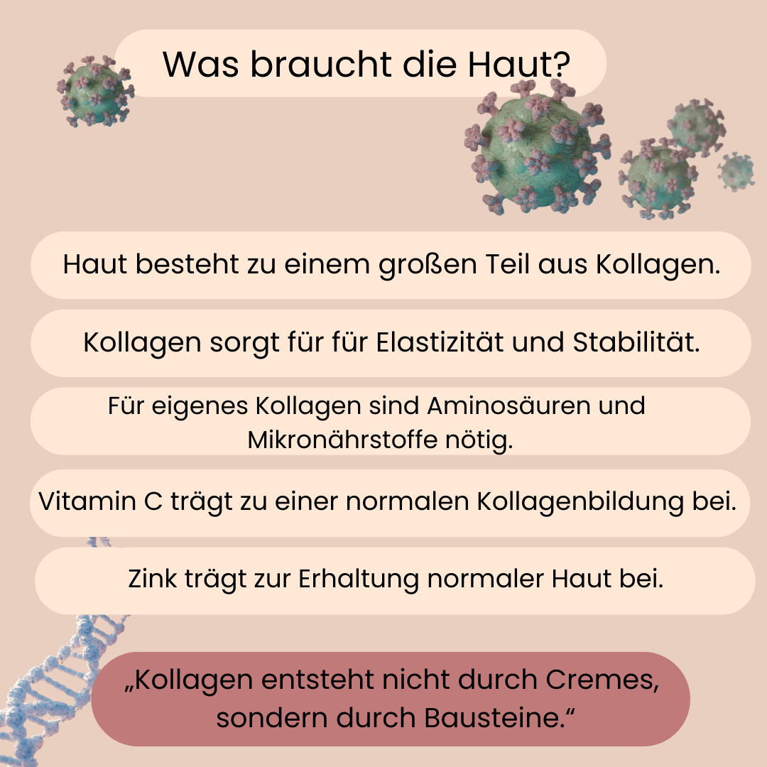 Eine Aufzählung dass unsere Haut Kollagen für Elastizität und Stabilität braucht. 