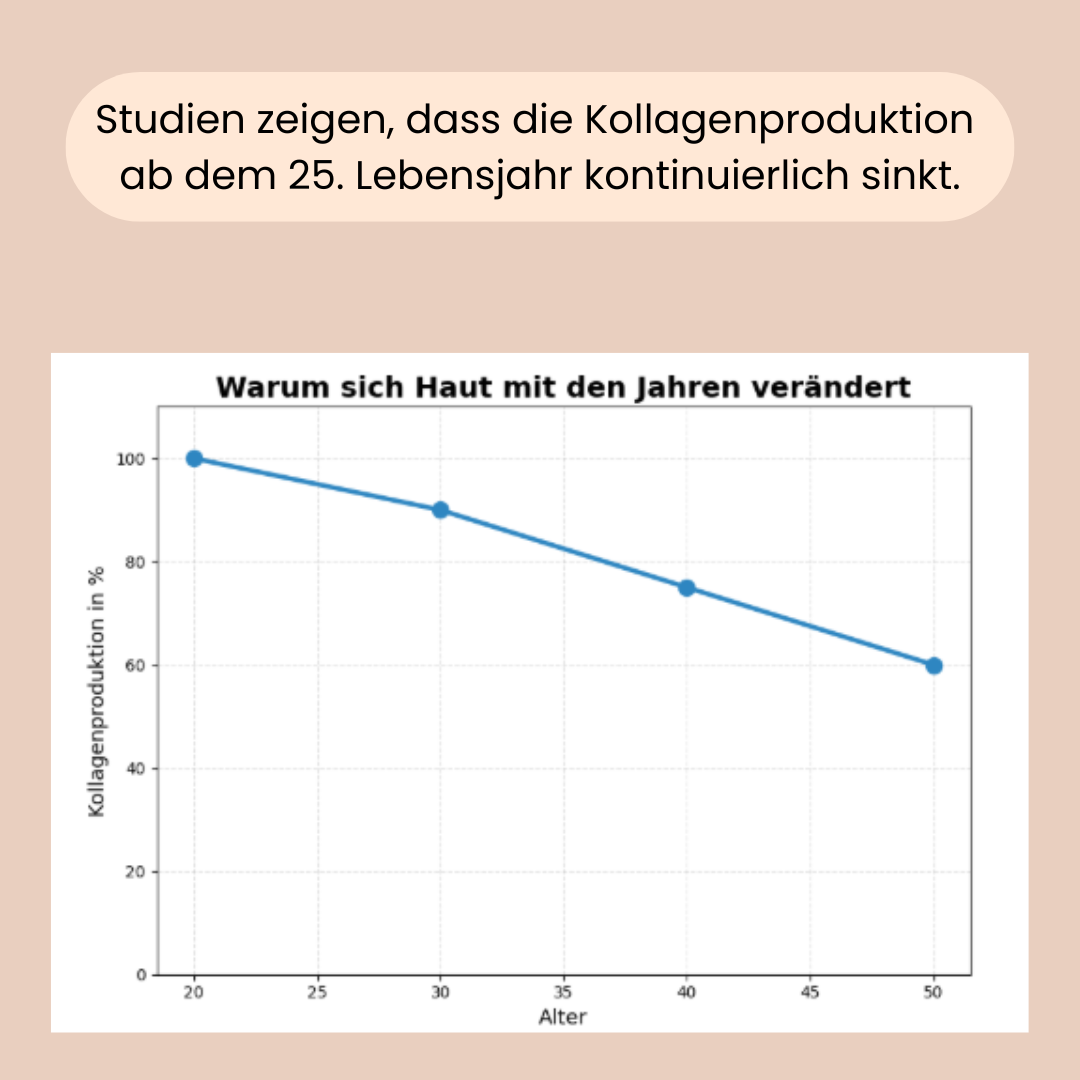 Studien zeigen, dass die Kollagenproduktion ab dem 25. Lebensjahr kontinuierlich sinkt. 